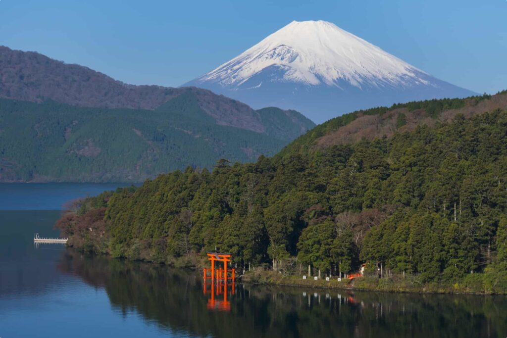 A Family Journey Through Japan’s Modern Pulse and Ancient Disciplines