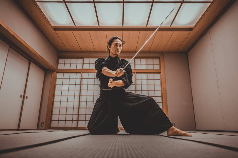 Tokyo to Kyoto Learn the Way of the Ninja (10 Nights)