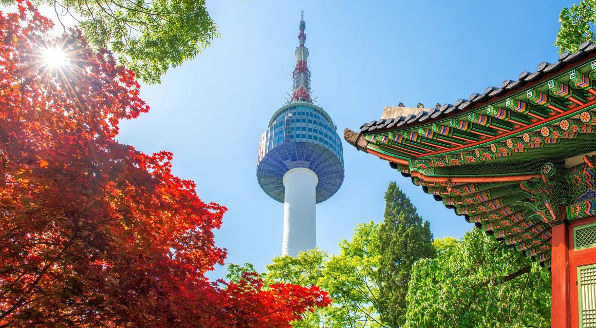 Seven nights that balance neon energy, deep history, and coastal air