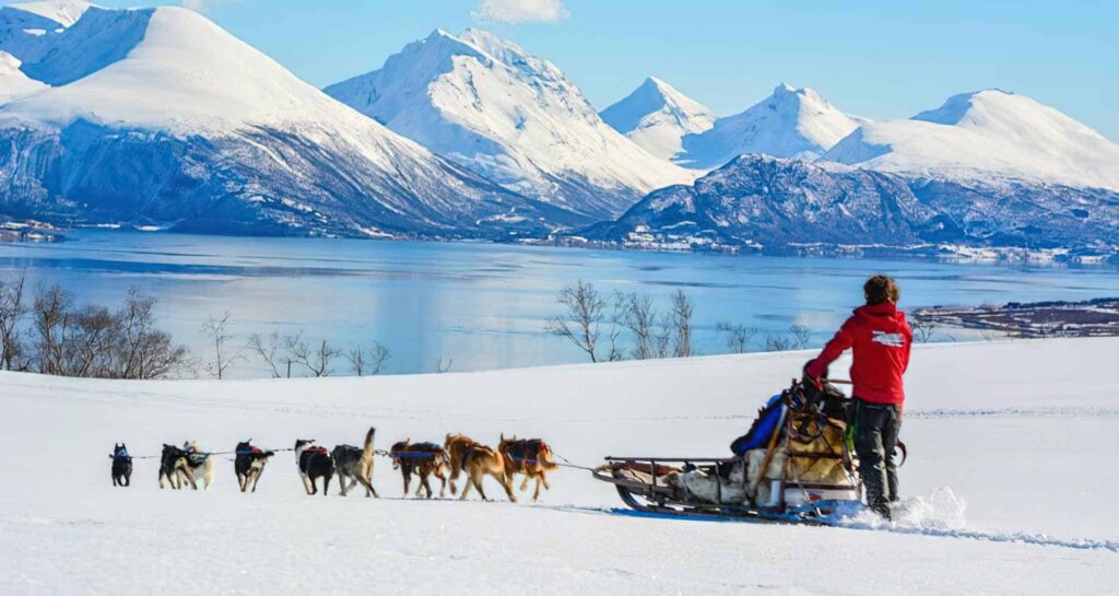 Signature Experiences