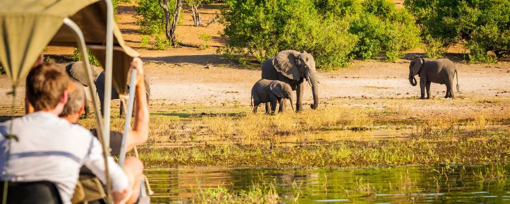 A Botswana Family Safari That Feels Wild, Calm, and Effortless