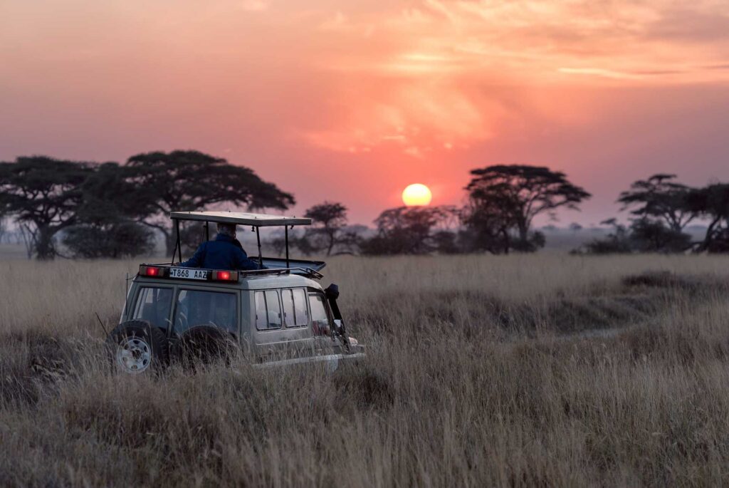 A Three-Nation Africa Safari Journey, Designed for Families