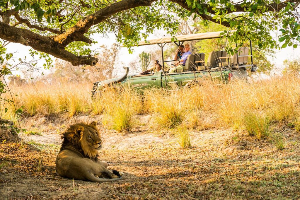 A Two-Chapter Zambia Malawi Safari Big Game, Then Barefoot Calm