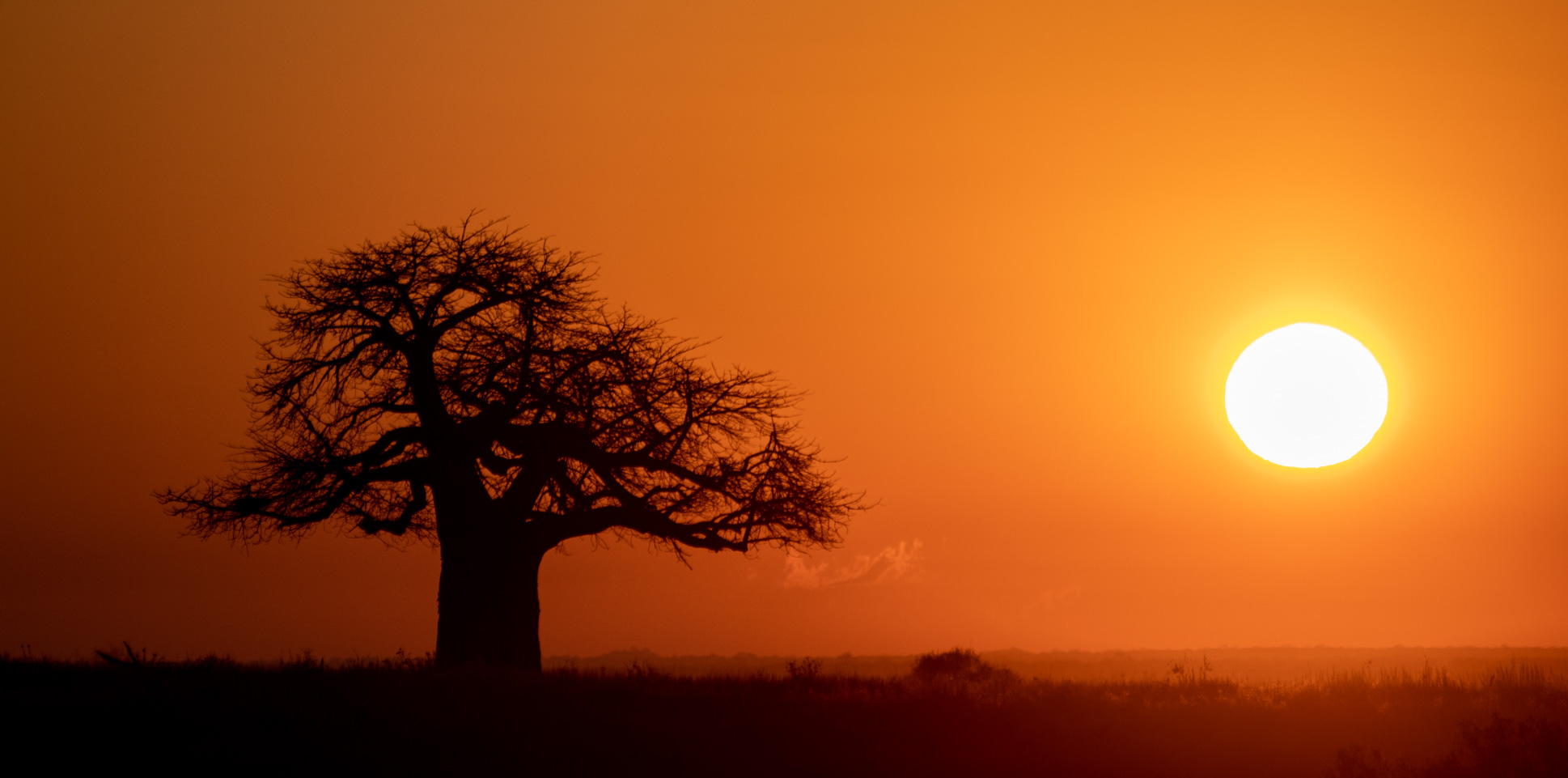 A first safari chapter that feels wild, but beautifully managed