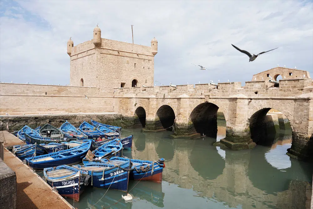 Essaouira and the Coastal Finish