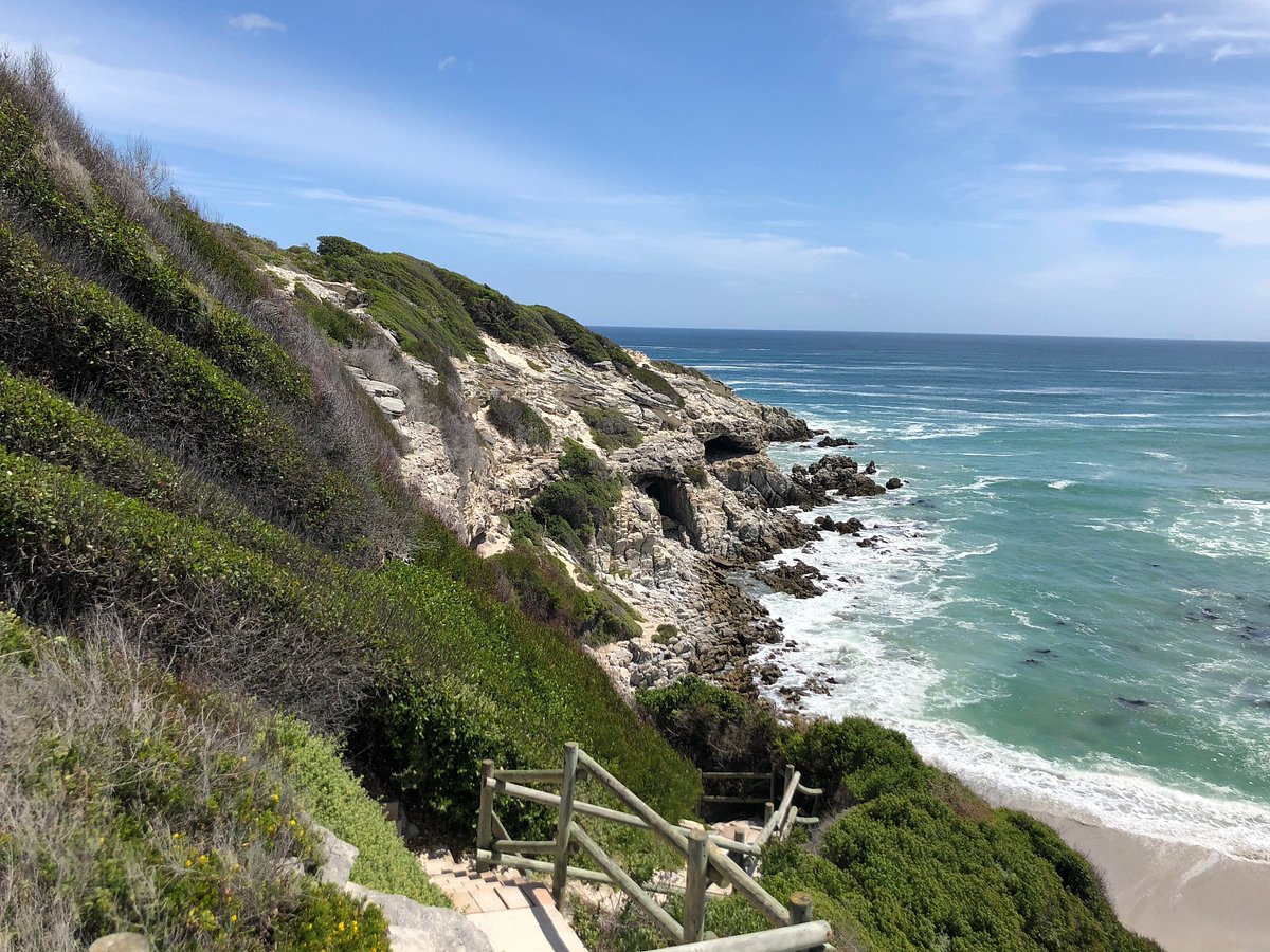 Forest air, ocean horizons, and a calmer rhythm