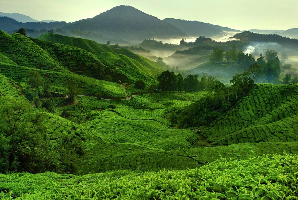 From city energy to rainforest silence and island calm