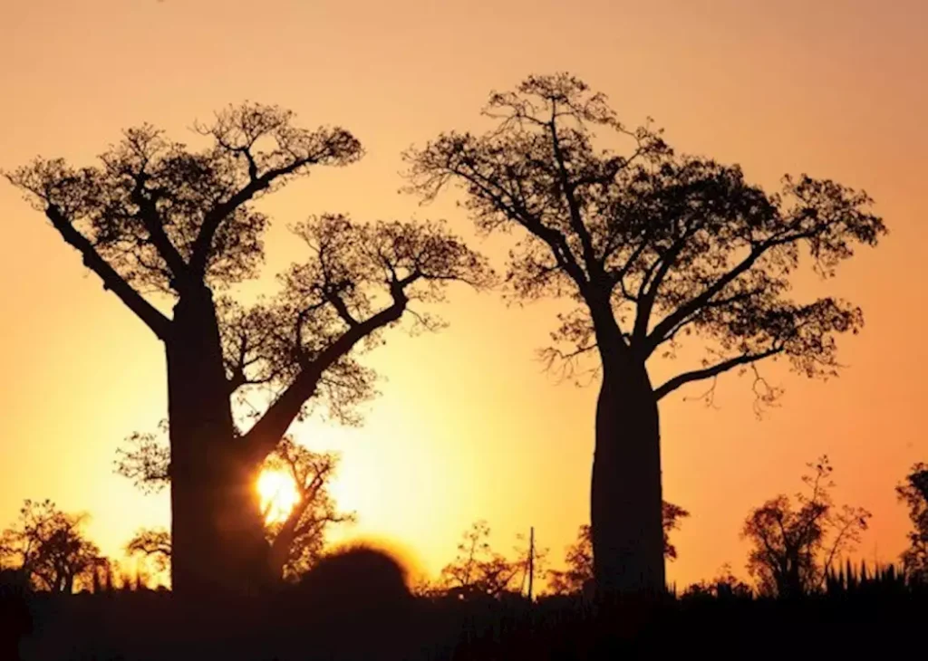 Ifotaka and Cultural Connection