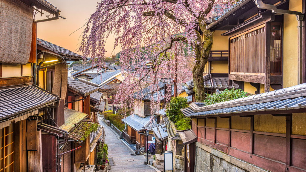 Kyoto, Nara, and Heritage Along the Way