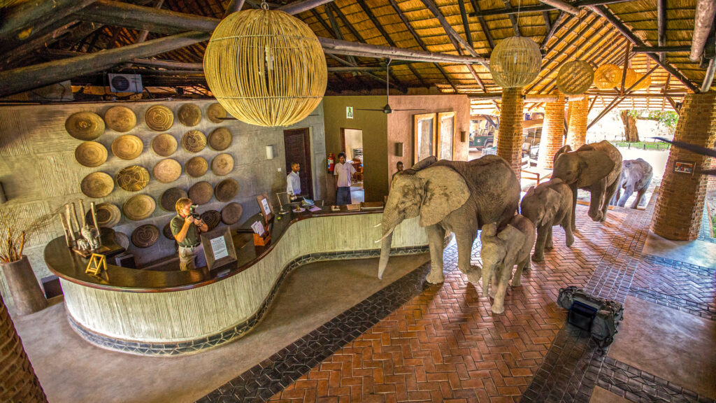 Lusaka to Mfuwe A Smooth Safari Start