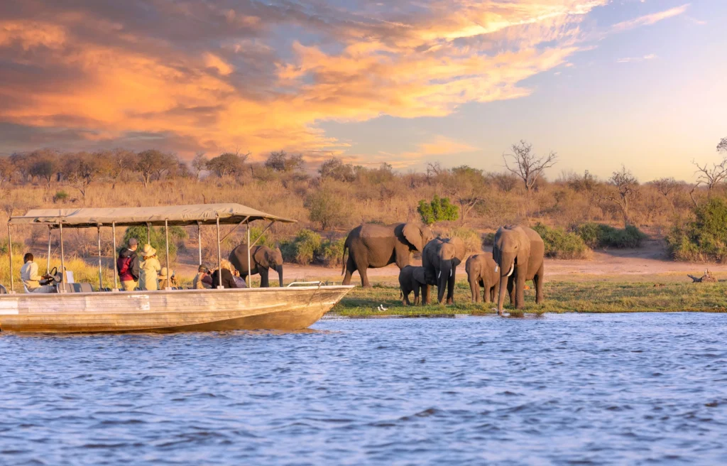 Luxury Botswana Family Safari Itinerary 6 Nights