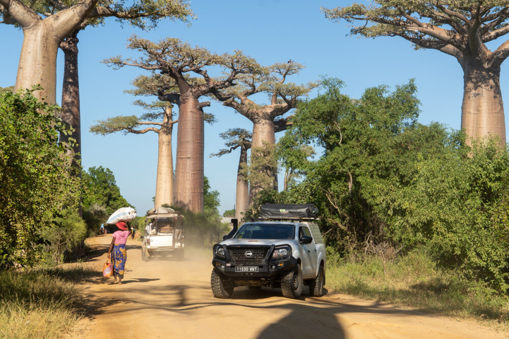 Madagascar A Remote Island Adventure (10 Nights)