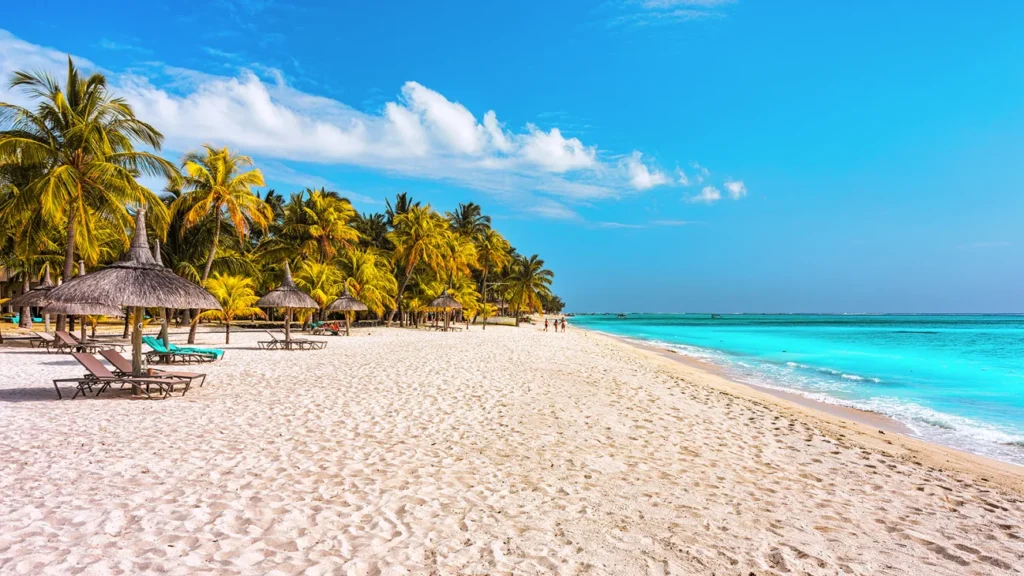 North and East Coast Beaches