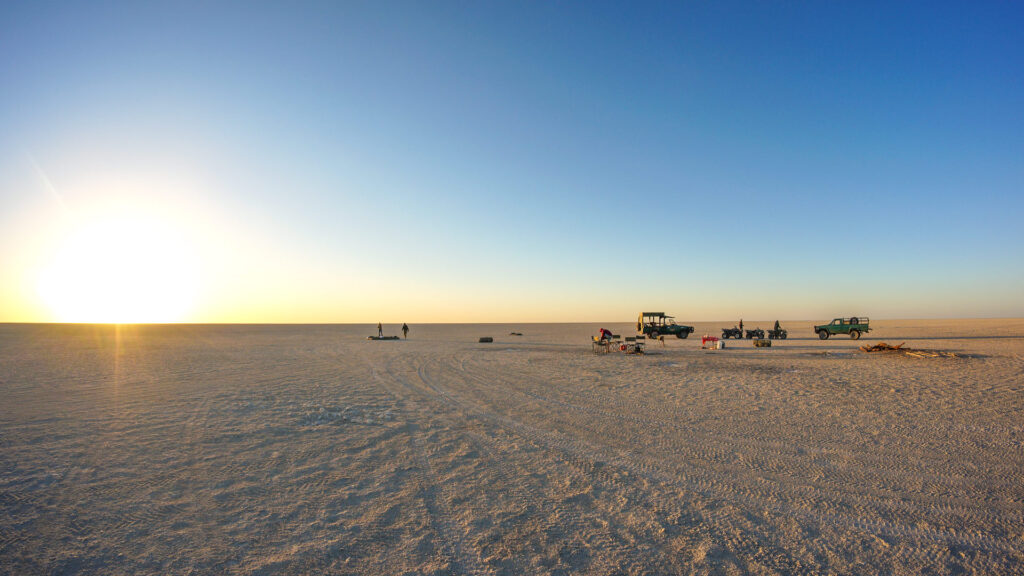 Ntwetwe Pan Meerkats and the Ride That Feels Like Flight