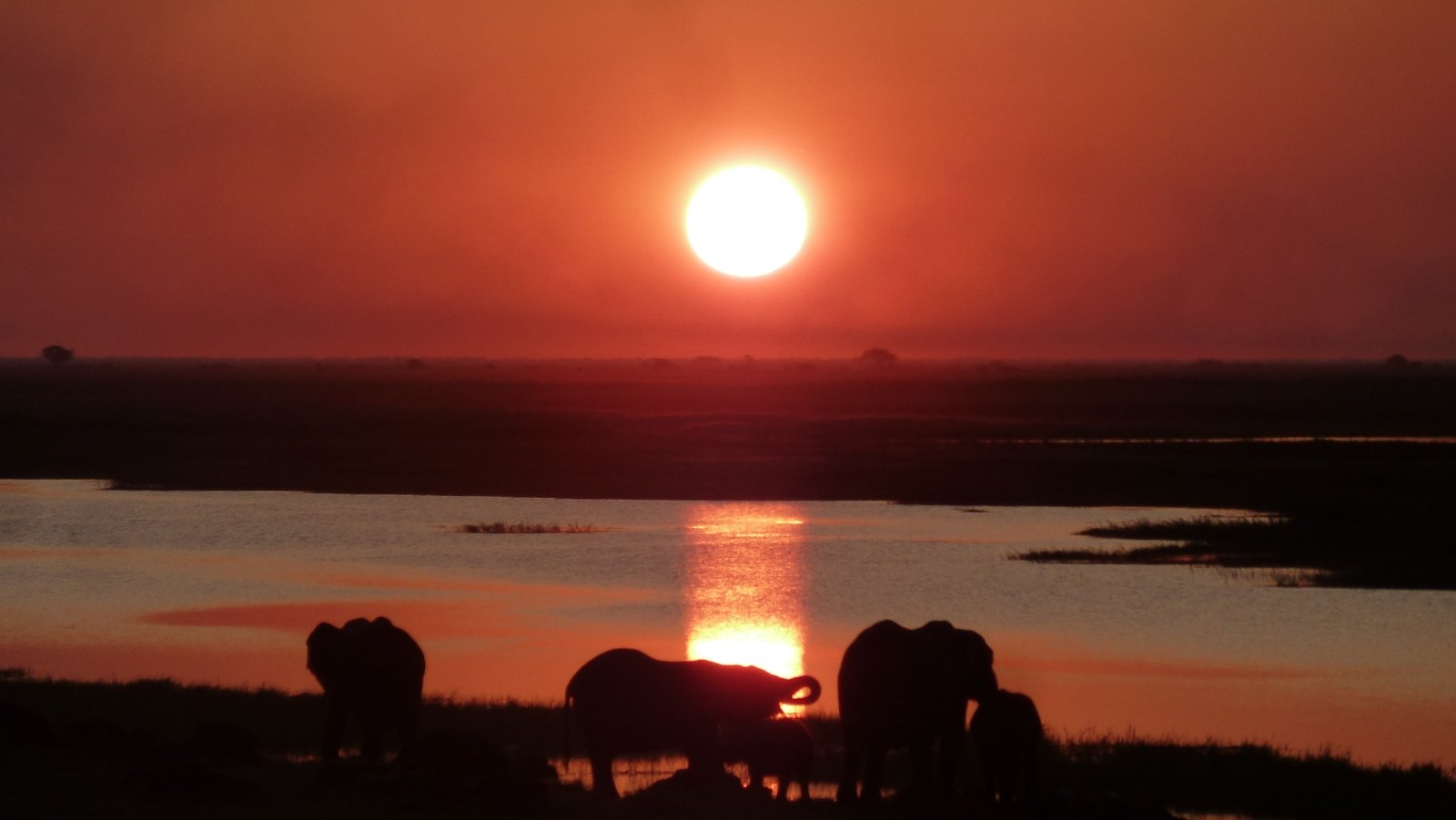 Quiet water, golden light, and the Delta at eye level