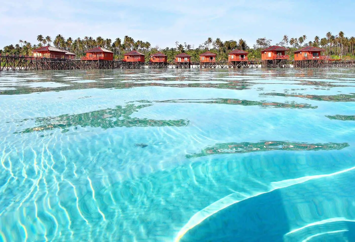 Rainforests, wildlife, and tropical island escapes