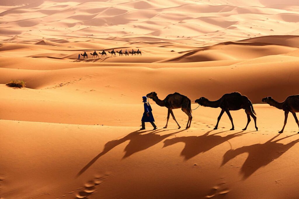 Sahara Desert and a Defining Experience