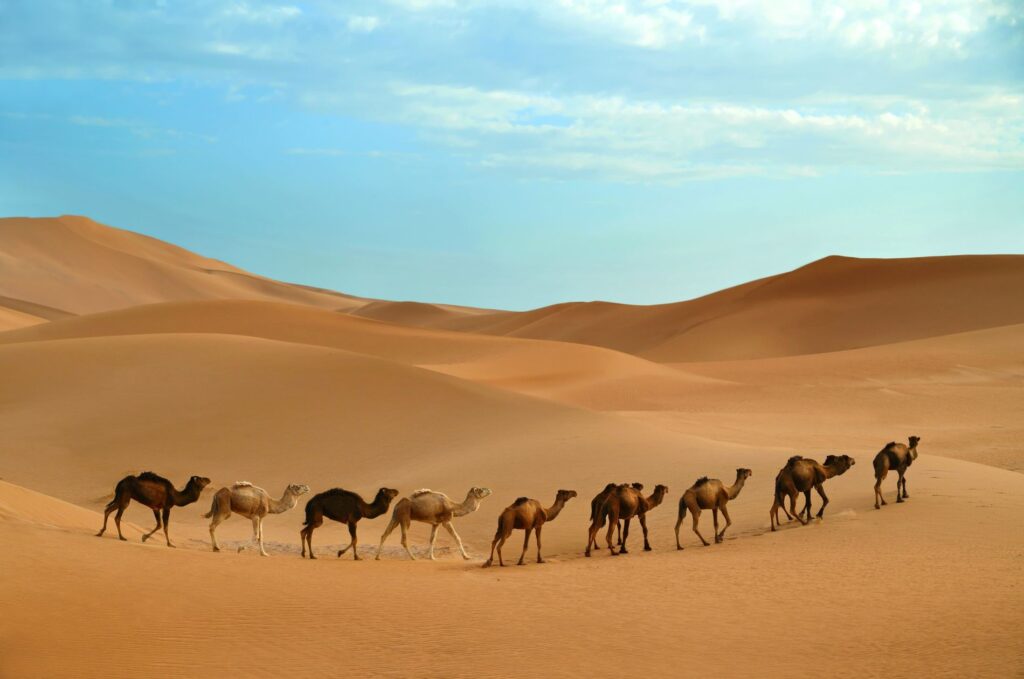 Sahara Desert and the Dune Experience