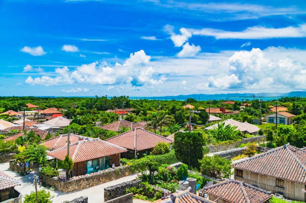 Taketomi Island and Traditional Village Life
