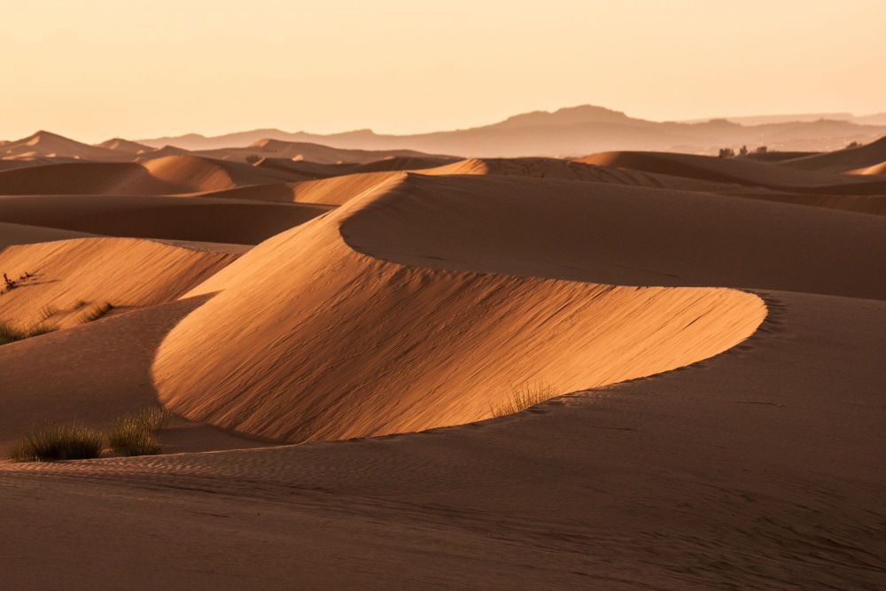 rando-chameliere-dans-les-dunes-du-sahara