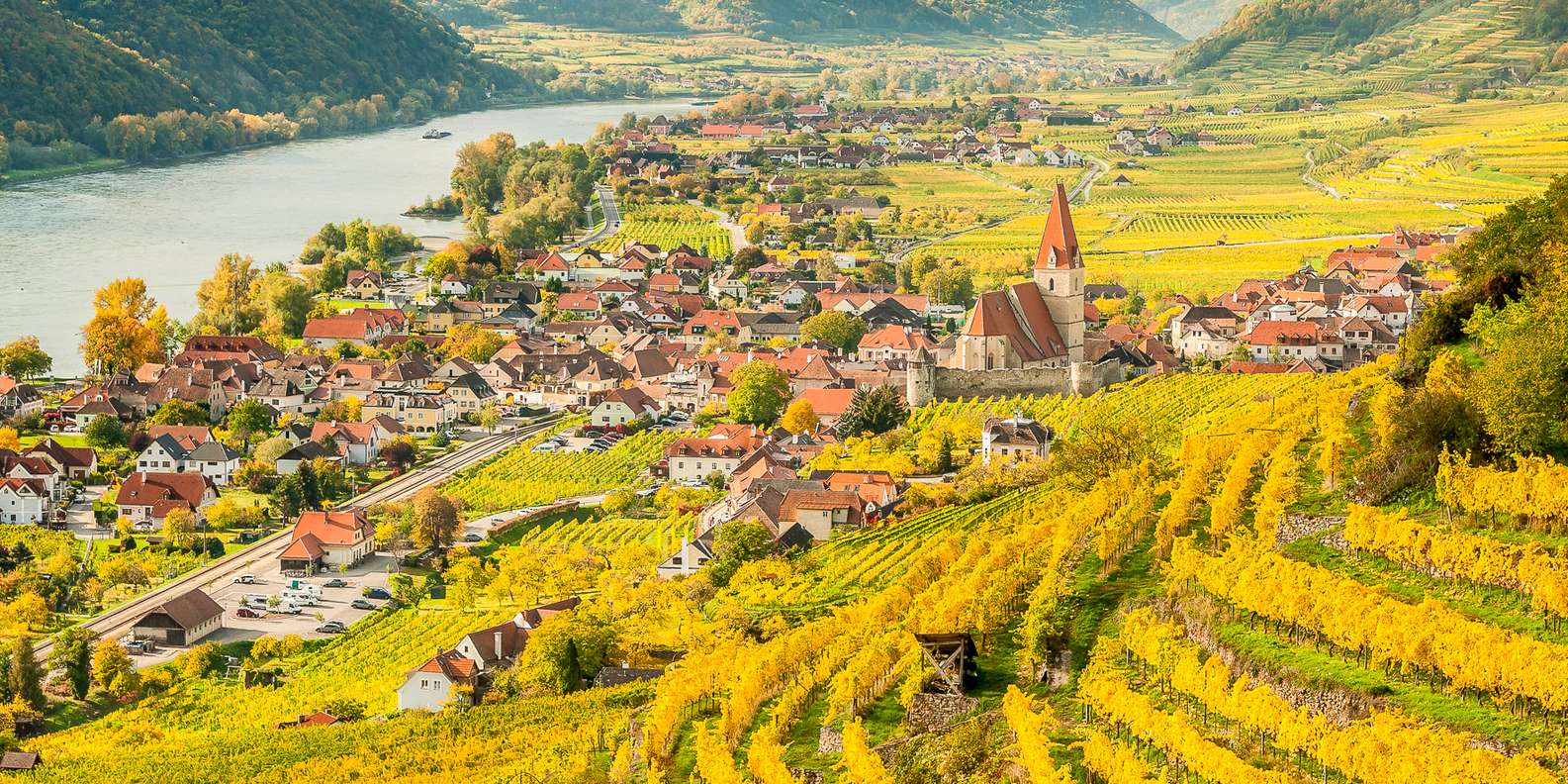 Terraced vineyards along the Wachau Valley Danube banks with Dürnstein blue church tower and medieval village in autumn afternoon light, Austrian wine country photography