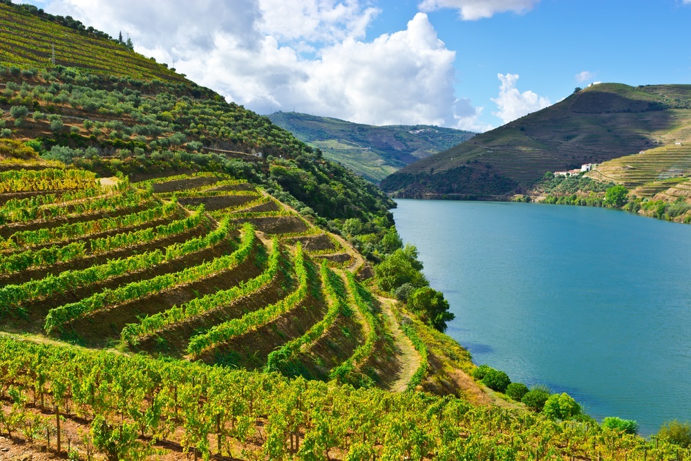 Terraced Douro Valley vineyards with Régua town below on the riverbank and river cruise ship docked in warm golden harvest light, Portuguese wine country photography