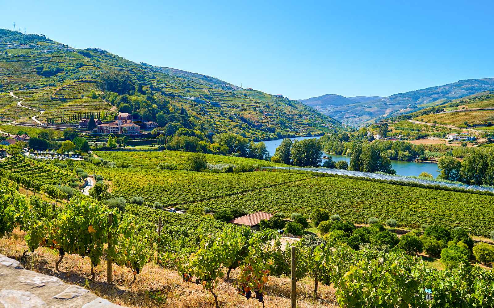 Douro river winding through terraced vineyard valley at sunset with soft golden light reflecting on water and small Portuguese village on hillside, river cruise photography