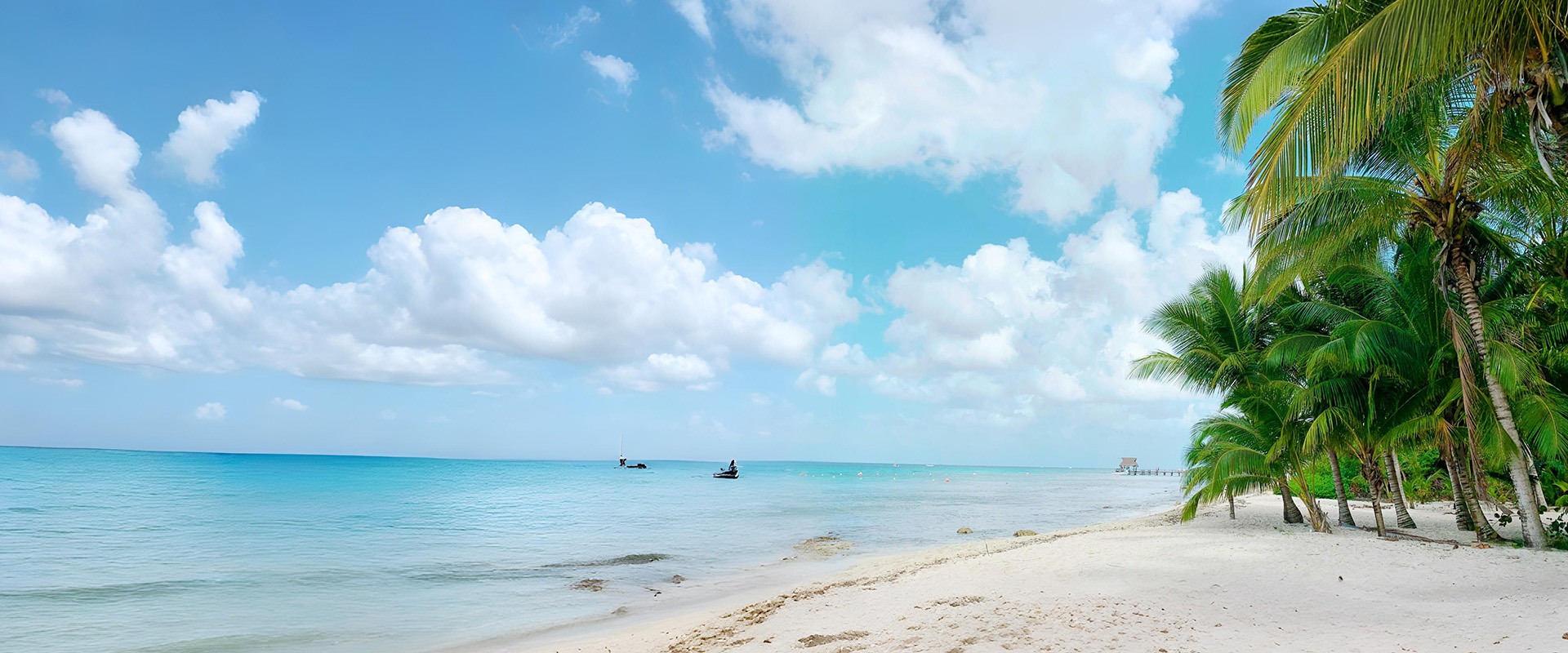 Pristine white sand beach on a private Caribbean island with turquoise shallow waters and scattered palm trees under clear blue sky, exclusive island photography