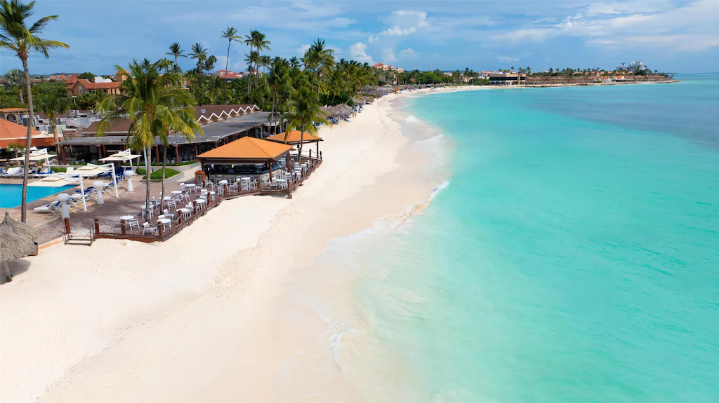 Aerial view of Aruba coastline with white sand Eagle Beach and turquoise waters contrasting arid desert landscape and divi-divi trees, Caribbean island photography