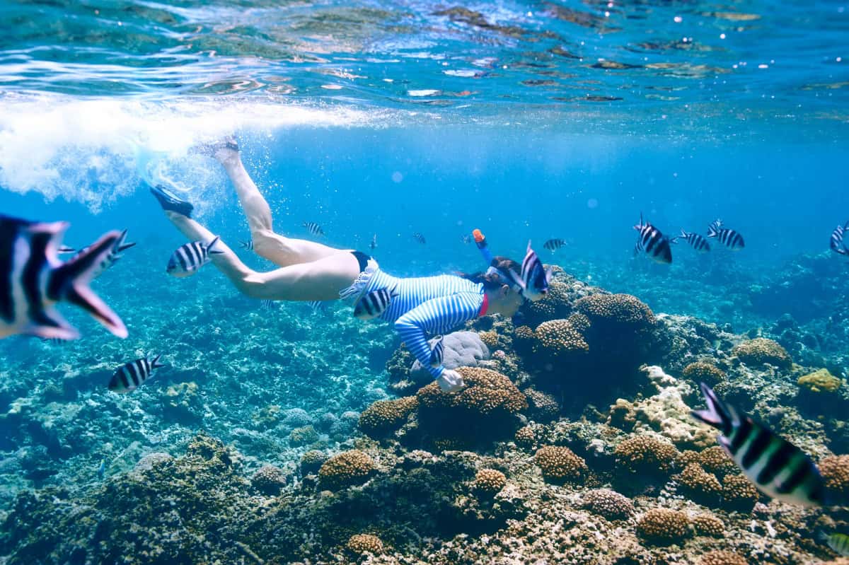 Snorkeler gliding above pristine coral reef in shallow turquoise waters off Bonaire coastline with flamingo salt flats visible in background, marine nature photography