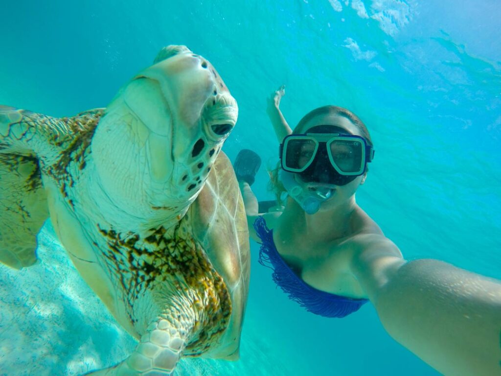 Activities and Exploration