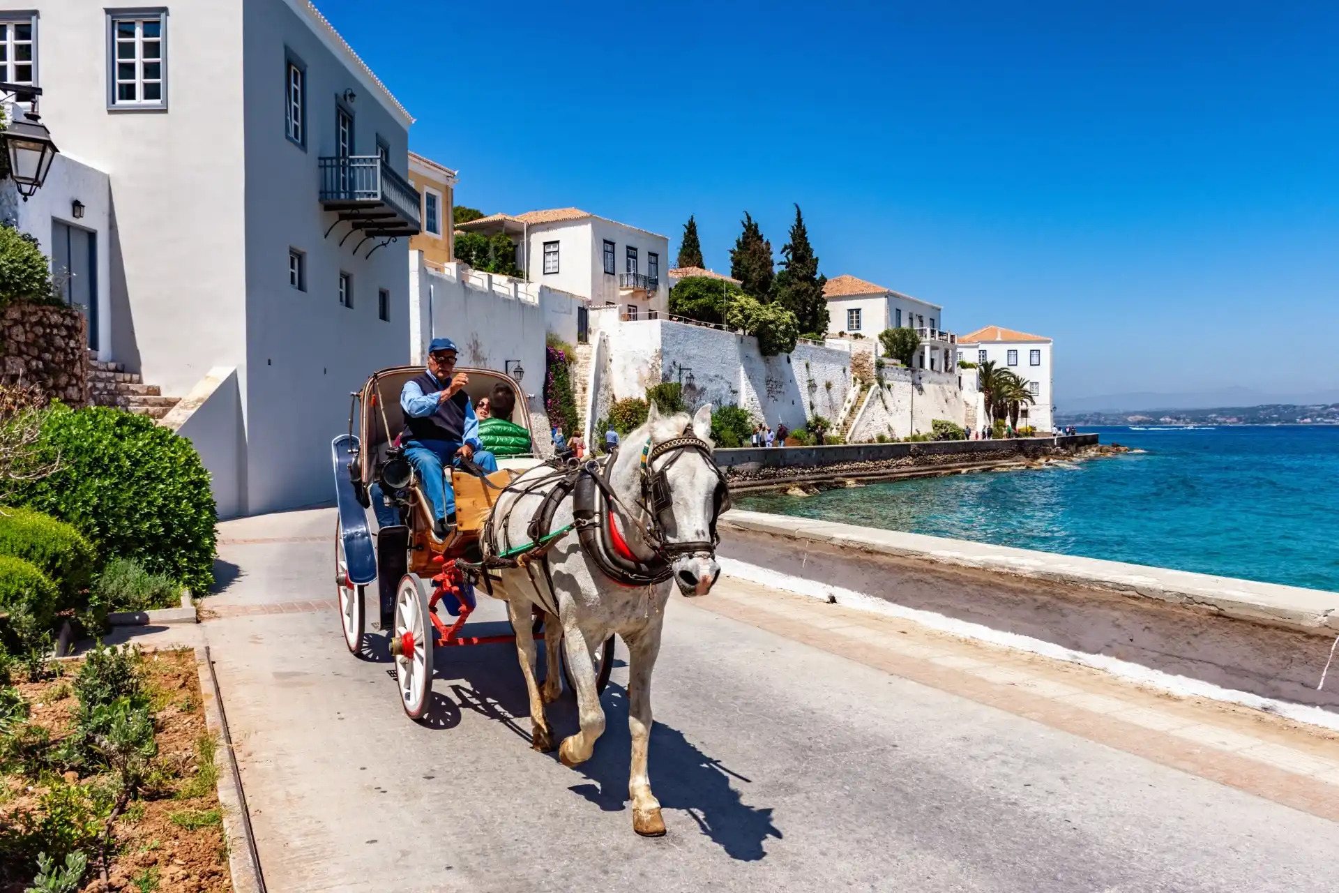 Spetses island neoclassical harbor with horse-drawn carriage on cobblestone waterfront promenade and pine trees framing elegant stone buildings, warm golden hour light, Mediterranean travel photography