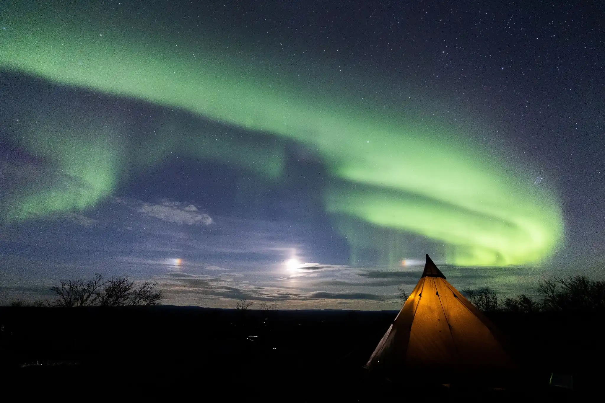 Aurora borealis green and purple bands over Alta Norway Finnmark plateau with snow-covered tundra and scattered birch trees, clear dark sky, long exposure Arctic photography