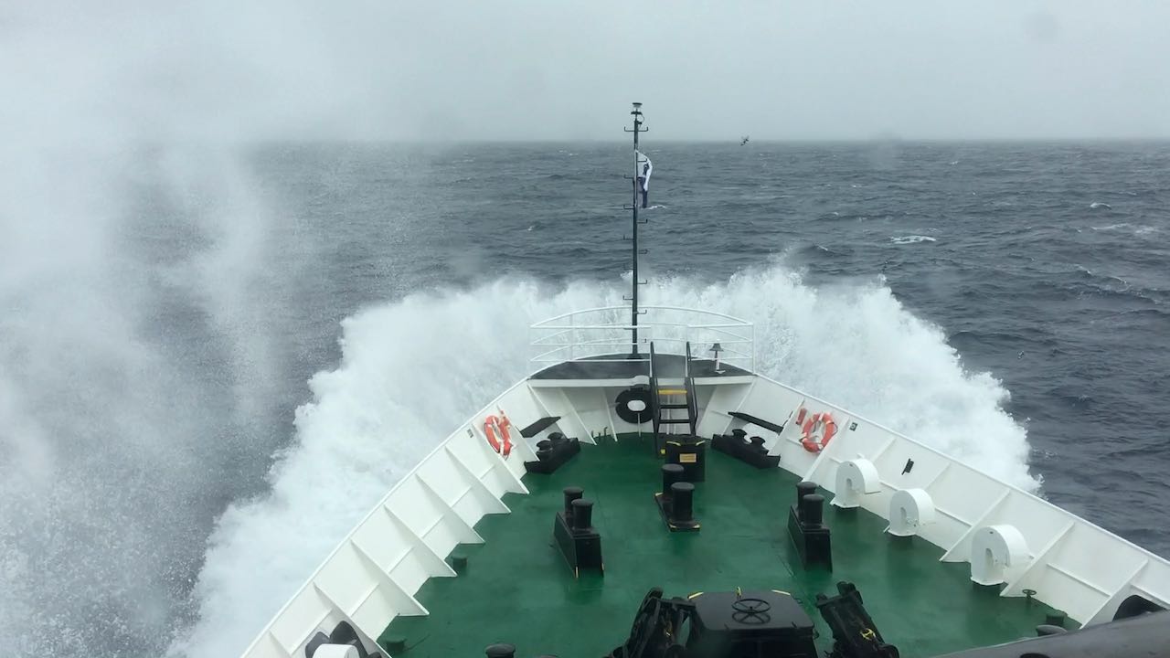 Expedition ship bow cutting through rough Southern Ocean waves in Drake Passage with albatross soaring alongside under dramatic grey sky, open ocean polar crossing photography