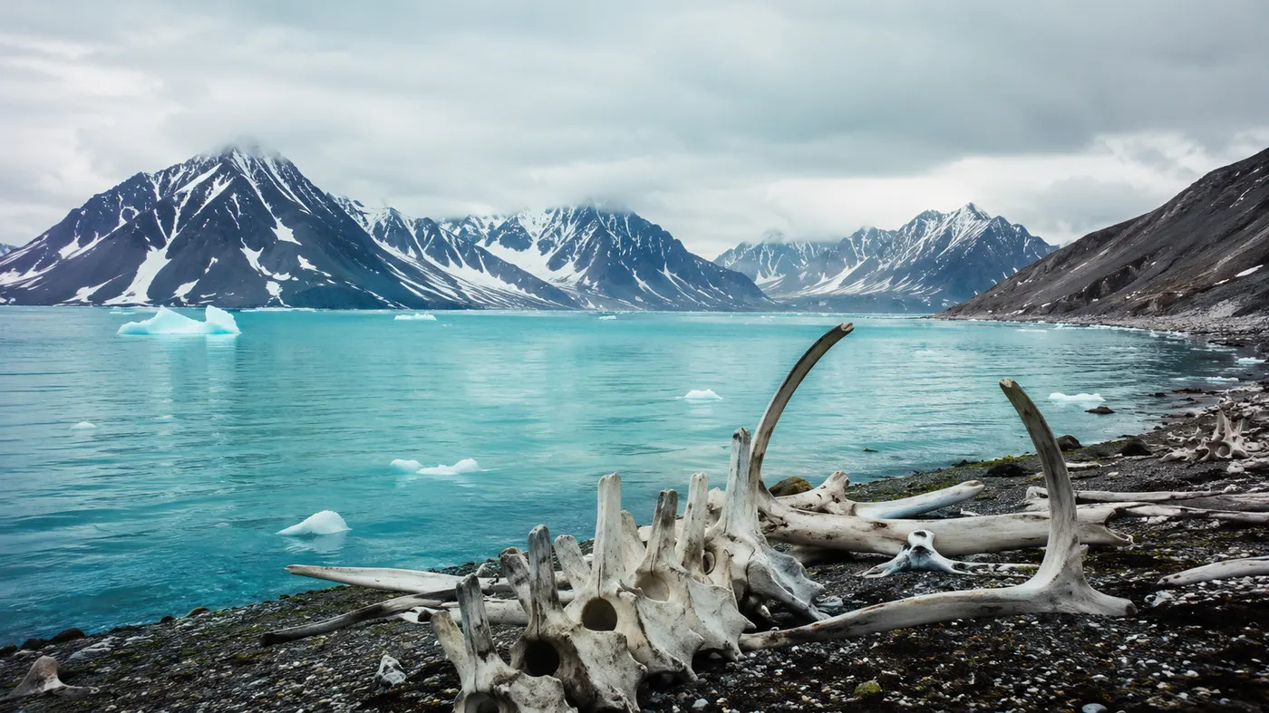 Magdalenefjorden Svalbard panoramic view with turquoise glacial water reflecting mountain walls and historic whaling station remains on shore, summer Arctic light, expedition landscape photography