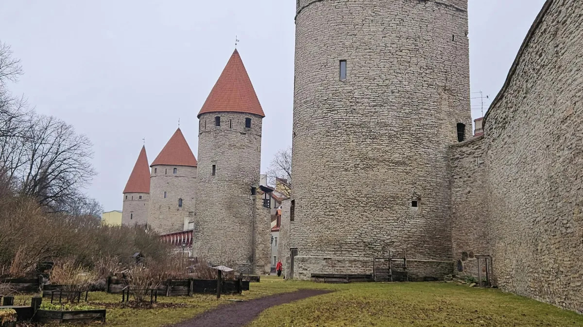 Tallinn Estonia medieval old town with Gothic church spires and Hanseatic merchant houses rising above ancient stone walls seen from the harbor, warm Baltic summer light, UNESCO heritage travel photography
