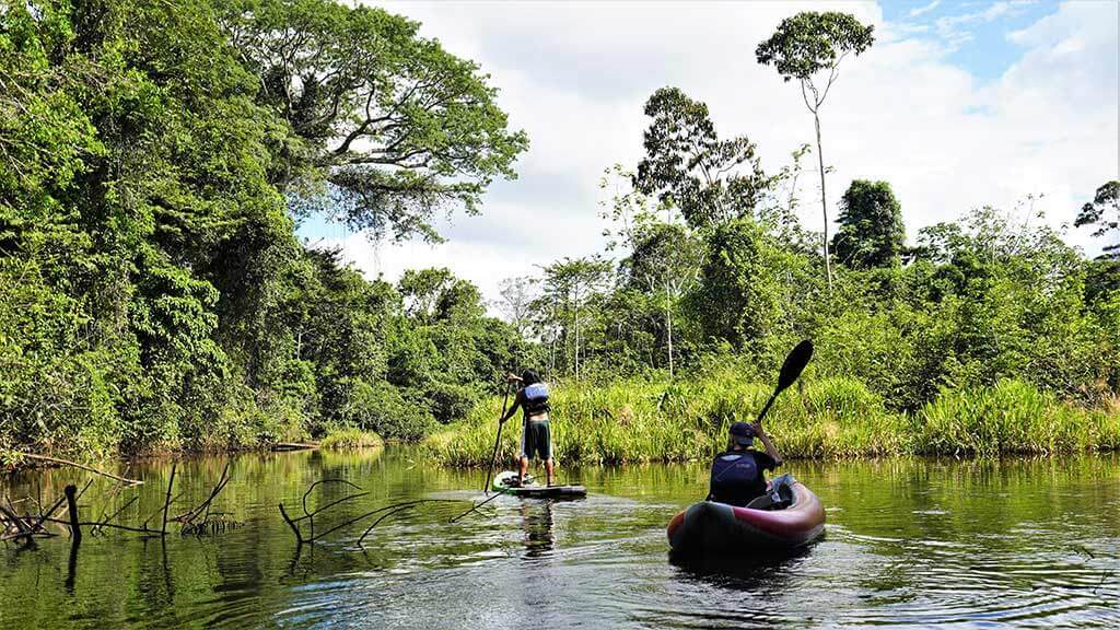 Naturalist-guided kayak group paddling through narrow Amazon tributary with towering rainforest canopy overhead and reflections in still dark water, wildlife expedition photography, Brazilian Amazon