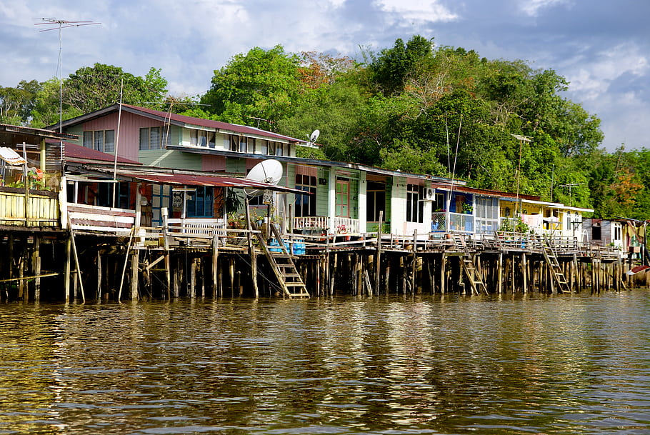 Ribeirinho riverside community wooden houses on stilts along Amazon tributary with children in canoe and lush tropical vegetation surrounding the settlement, warm afternoon light, cultural travel photography