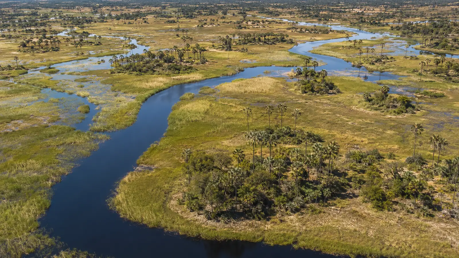 Aerial view of the Okavango Delta in Botswana with winding water channels, green islands and palm-dotted floodplains, bright dry-season light, luxury safari travel photography