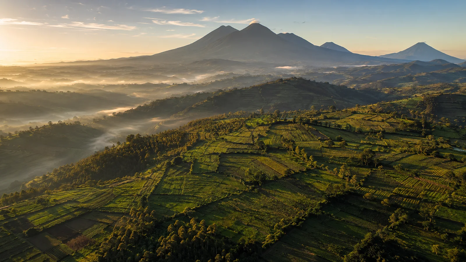Aerial view of the terraced green hills and volcanic peaks of northern Rwanda at golden hour with mist in the valleys, scenic landscape travel photography