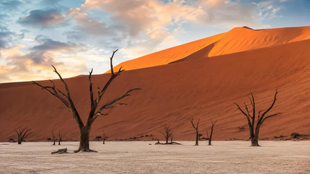 Namibia safari — towering orange dunes of Sossusvlei meeting the white pan of Deadvlei with dead trees at sunrise, dramatic d