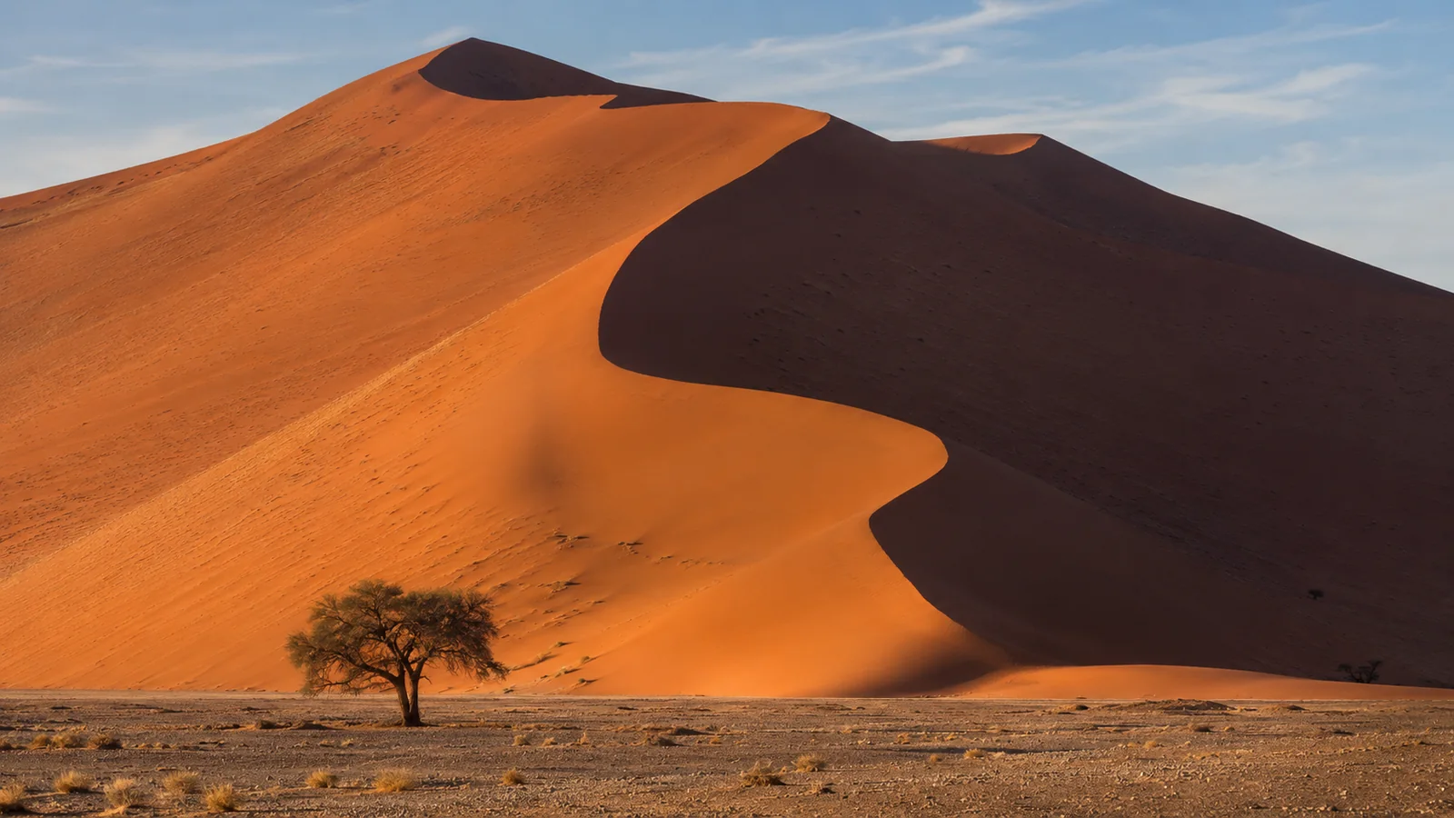 Towering orange sand dunes of Sossusvlei in Namibia at sunrise with deep shadows and a lone tree, dramatic desert landscape travel photography