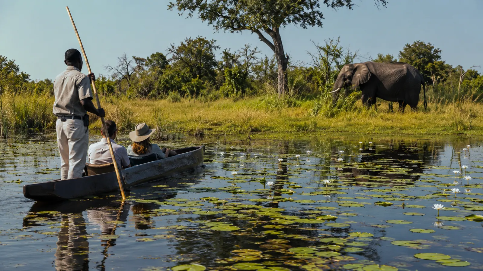 Private mokoro canoe gliding through calm channels of the Okavango Delta Botswana with lily pads and a lone elephant on the island bank, exclusive safari photography