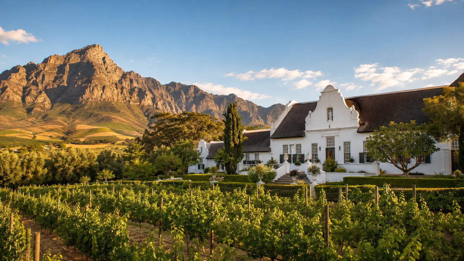 Vineyard rows stretching toward the Franschhoek mountains in the Cape Winelands at golden afternoon light with a Cape Dutch estate in the foreground, luxury wine travel photography