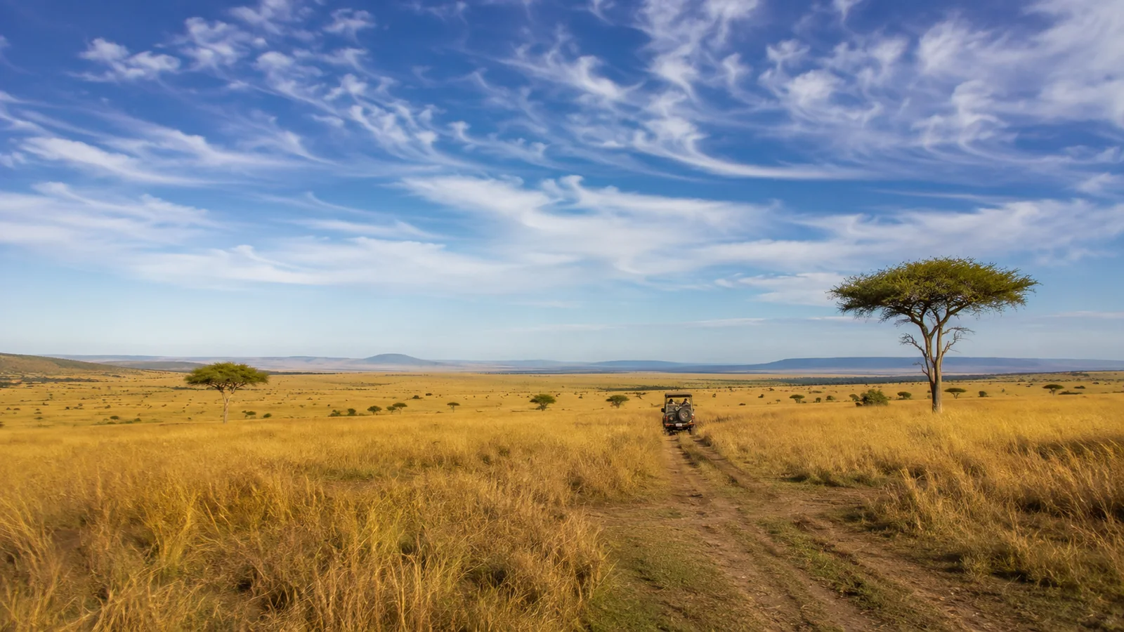Wide golden savanna landscape with scattered acacia trees and a safari vehicle in the distance under a vast African sky, first-time safari destination overview photography