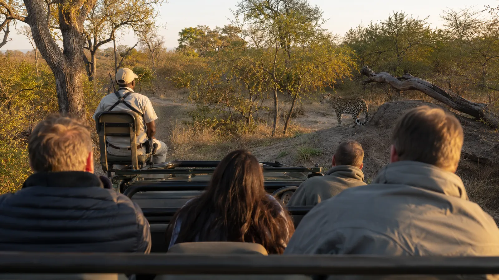 Open safari vehicle with guide and guests tracking a leopard at close range in a private concession with no other vehicles visible, exclusive first safari game drive photography