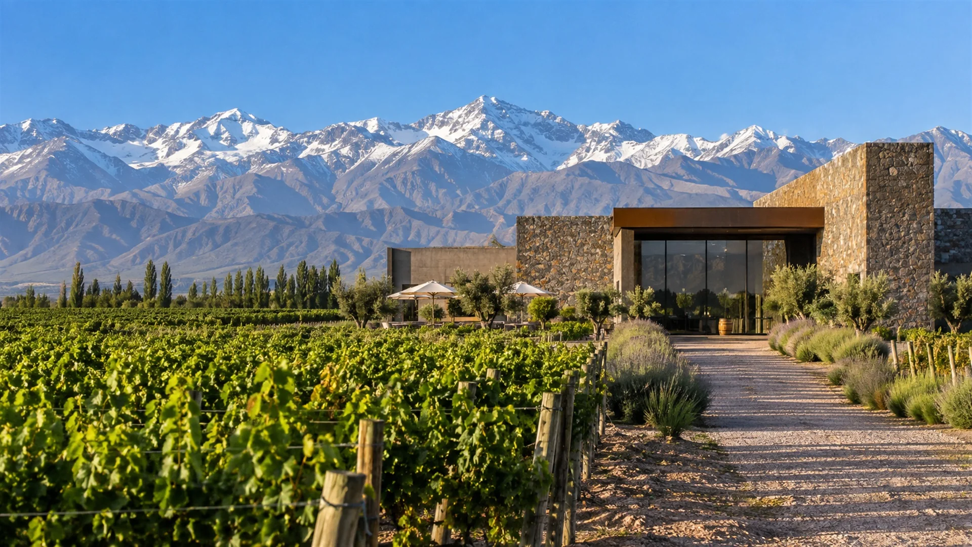 Modern stone winery set among vineyards in the Uco Valley with the Andes rising behind under a clear blue sky, architectural wine travel photography