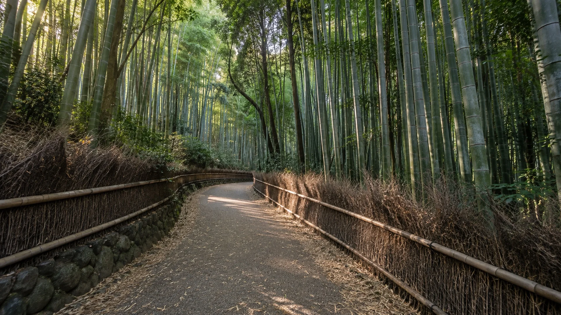 Quiet bamboo grove path in Arashiyama with tall green stalks and filtered early morning sunlight, no crowds, serene atmosphere, editorial travel photography
