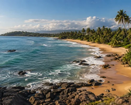 Best time to visit Sri Lanka — palm-lined southern coastline under clear dry season skies, monsoon clouds far inland, editori