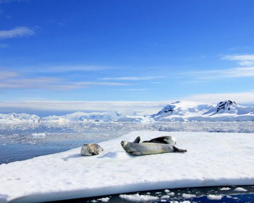 Antarctica & Chile: The Frozen Voyage